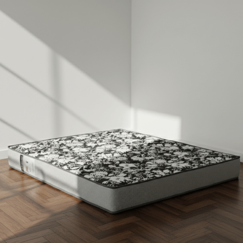 Inicio -2- Inicio -2-